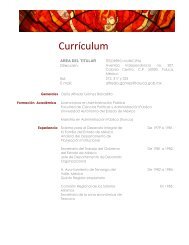 Currículum - Toluca