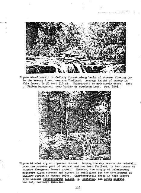 Vegetation of Southeast Asia Studies of Forest Types 1963-1965