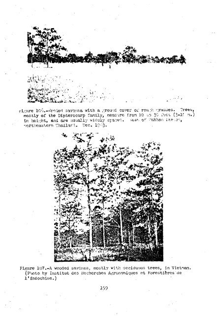 Vegetation of Southeast Asia Studies of Forest Types 1963-1965
