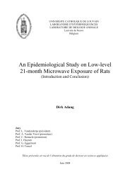 Thesis Dirk Adang - Synthese - Teslabel