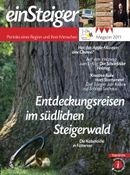 Frankenmagazin südlicher Steigerwald - einSteiger 2011