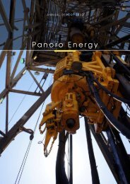 Annual Report 2012 - Panoro Energy