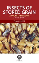 insects of stored grain