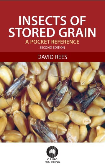 insects of stored grain