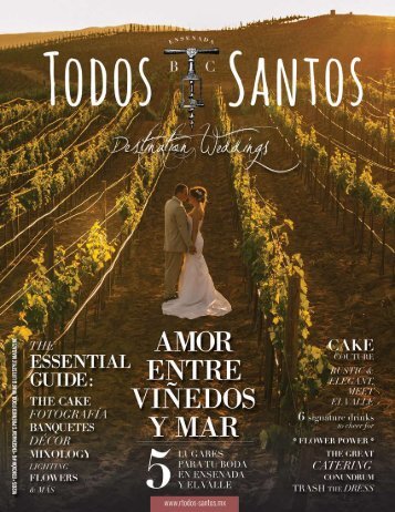 Todos Santos- Destination Weddings 2015