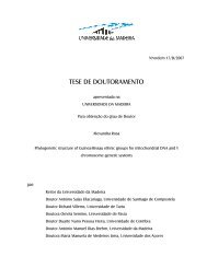 TESE DE DOUTORAMENTO - DigitUMa - Universidade da Madeira