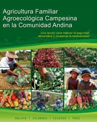 Agricultura Familiar Agroecológica Campesina en la Comunidad Andina