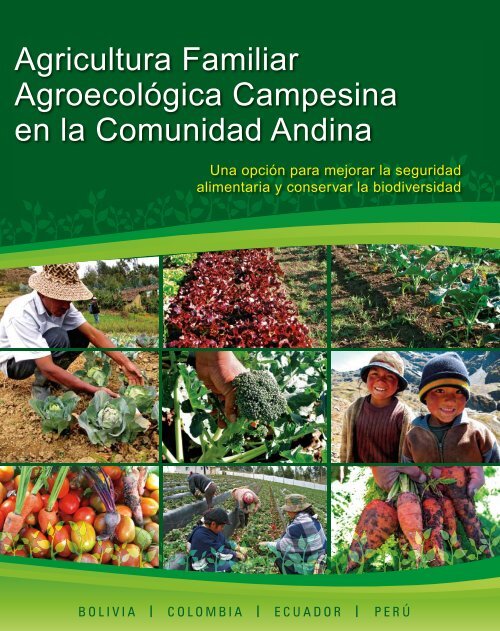 Agricultura Familiar Agroecológica Campesina en la Comunidad Andina