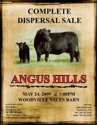 angus hills complete dispersal sale - Indian River Cattle Company