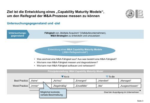 Leitfaden Experteninterview - M&A Capability