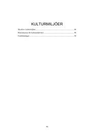 KULTURMILJÃER - Ljungby