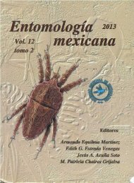 Familia Elateridae (Insecta:Coleoptera)en la Esación de Biología Chamela, Jalisco, México.