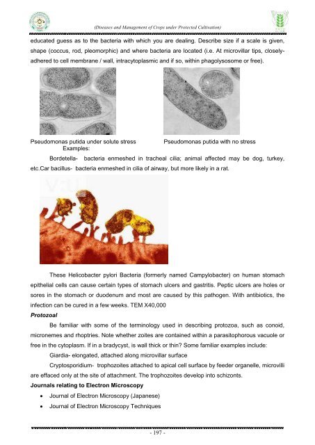 Diseases and Management of Crops under Protected Cultivation