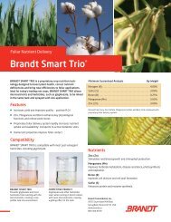 Brandt Smart TrioÂ®