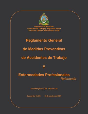 REGLAMENTO reformado STSS 053-04 - Observatorio de Recursos ...