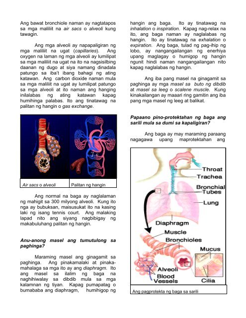 THE RESPIRATORY SYSTEM