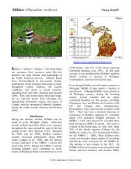 Killdeer (Charadrius vociferus) - Michigan Breeding Bird Atlas Website