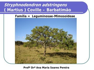 Stryphnodendron adstringens - Cerrado in vitro