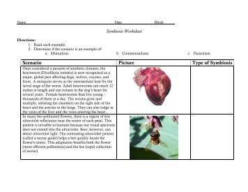 Symbiosis Worksheet - nnhsbergbio