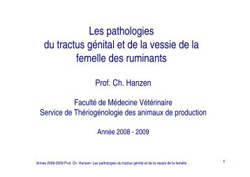 Les pathologies du tractus gÃ©nital et de la vessie de la femelle des ...