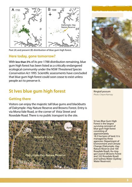 Protecting and restoring Blue Gum High Forest - Department of ...