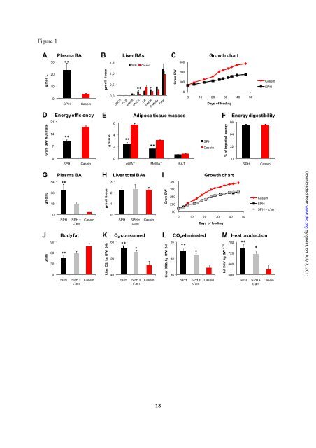 The obesogenic effects of polyunsaturated fatty acids are dependent ...