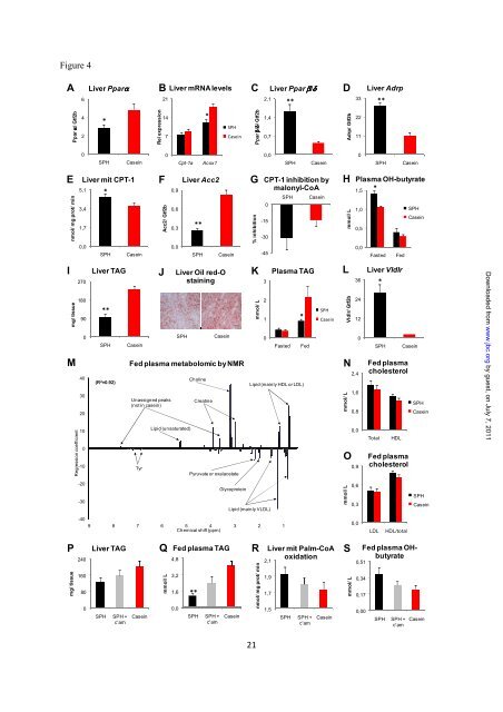 The obesogenic effects of polyunsaturated fatty acids are dependent ...