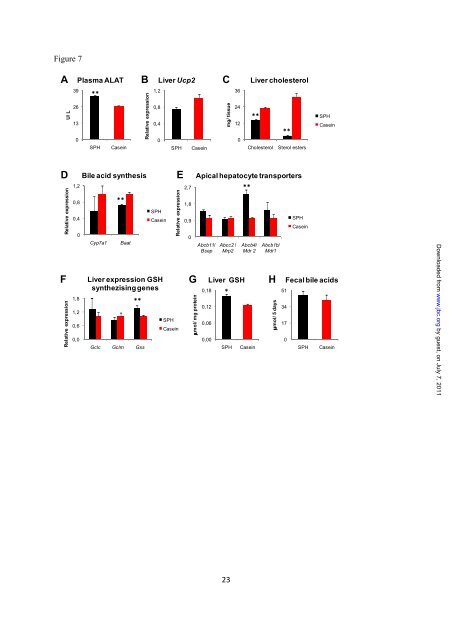 The obesogenic effects of polyunsaturated fatty acids are dependent ...