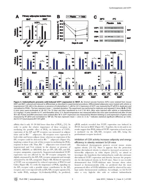 The obesogenic effects of polyunsaturated fatty acids are dependent ...