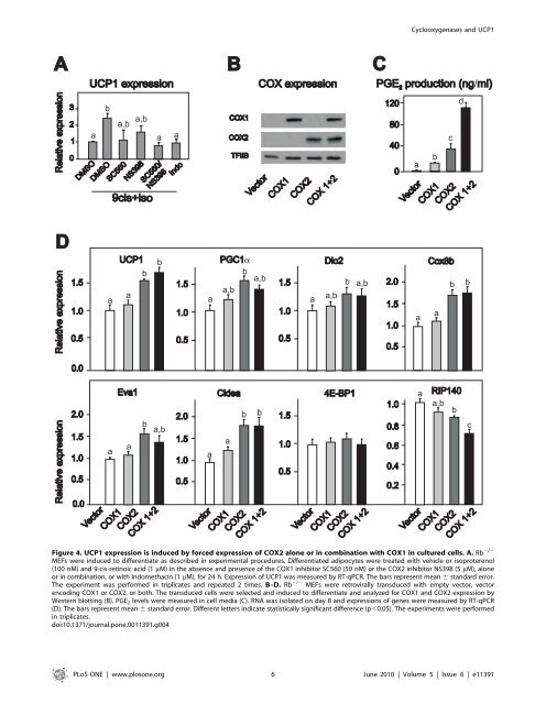 The obesogenic effects of polyunsaturated fatty acids are dependent ...