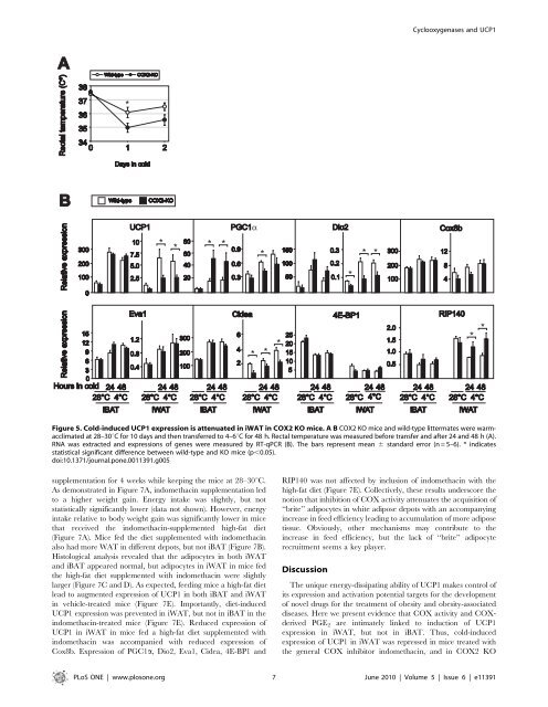 The obesogenic effects of polyunsaturated fatty acids are dependent ...