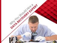 Why You Should Hire an Expert for Data Recovery in Honolulu, Hawaii