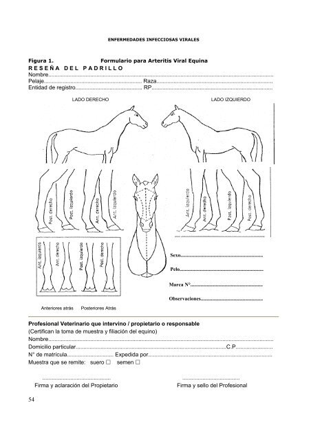 enfermedades infecciosas de los equinos - Facultad de Ciencias ...