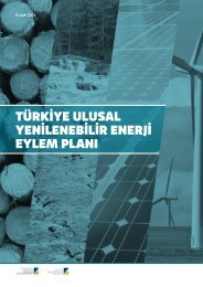 Turkiye_Ulusal_Yenilenebilir_Enerji_Eylem_Plani