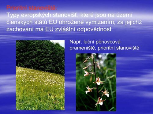 Natura_a_hodnoceni_vlivu_na_natur_lokality - Katedra ekologie a ...