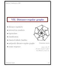 VII. Distance-regular graphs