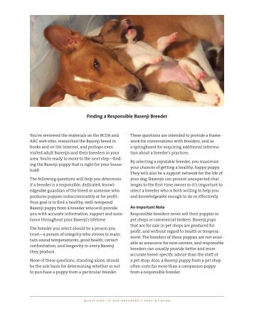 Finding a Responsible Basenji Breeder - the Basenji Club of America