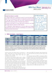 SBA Fact Sheet - Enterprise Europe Ireland