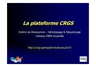 La plateforme CRGS - plateforme GÃ©nomique