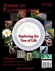 Why Study the Tree of Life? - AToL Decapoda