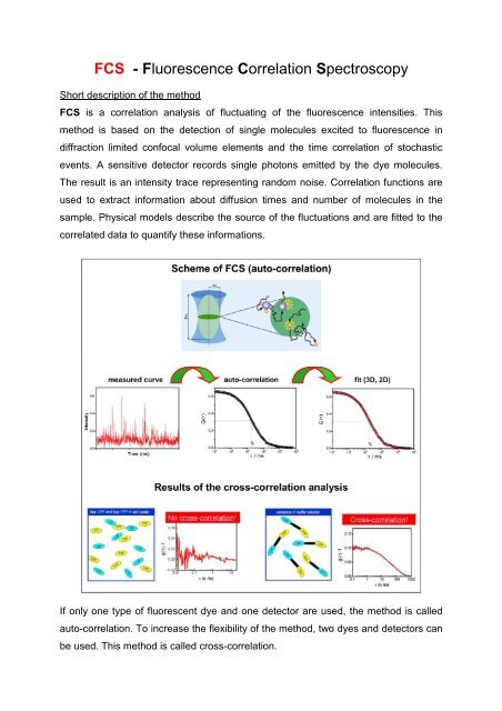 FCS - Fluorescence Correlation Spectroscopy - FMP