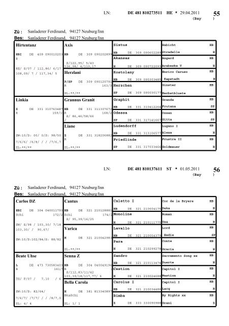 Warmblut - Pferdezuchtverband Oberbayern eV