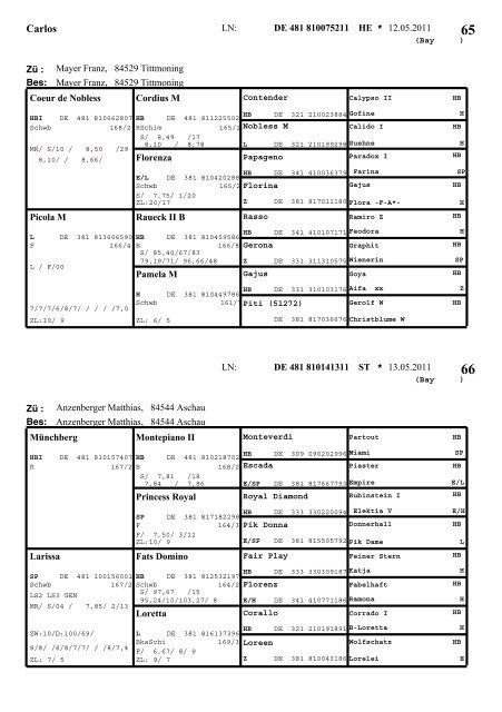 Warmblut - Pferdezuchtverband Oberbayern eV