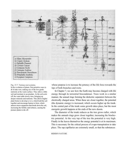 levitational current - Free Energy