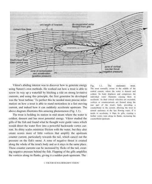 levitational current - Free Energy