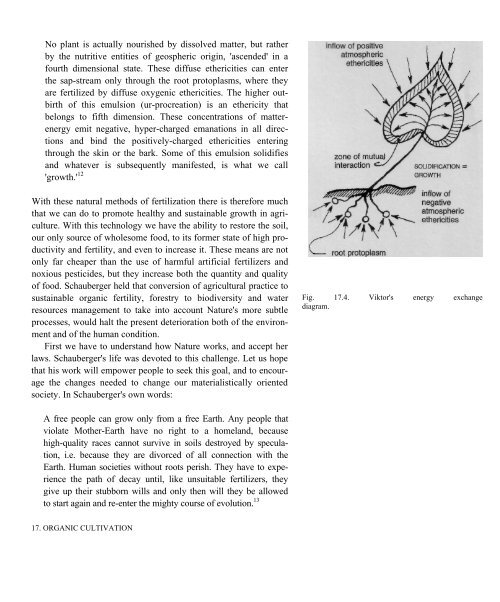 levitational current - Free Energy