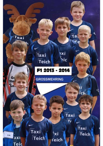 F1 Junioren TSV Großmehring 2013 - 2014