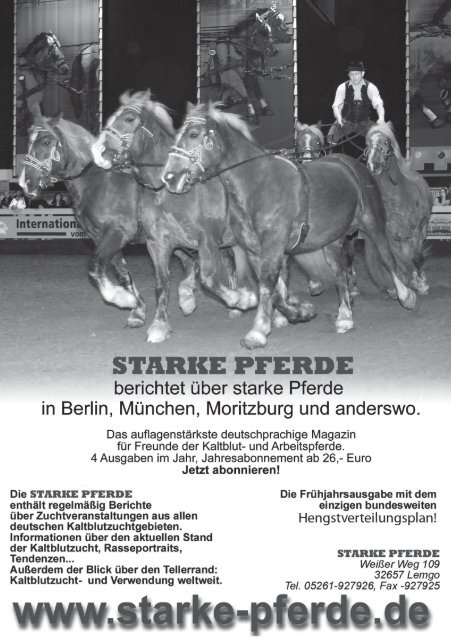 FOHLENAUKTION IN TRAUNSTEIN - Pferdezuchtverband ...