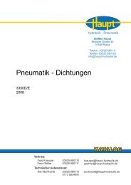 Pneumatik - Dichtungen - Steffen Haupt - Hydraulik und Pneumatik