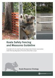 Koala safety fencing and measures guideline - Living Smart